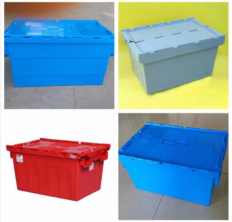 product-750-1 kinds.jpg