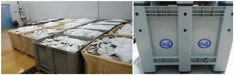 product-1-1 cold room storage pics